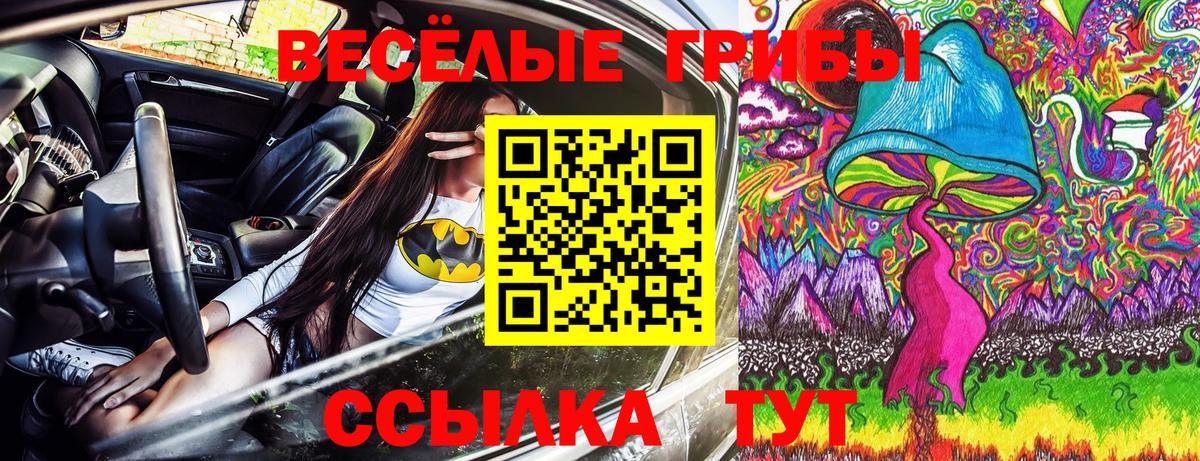 Скопин  цены   Вход с VPN  Псилоцибиновые грибы прущие грибы 